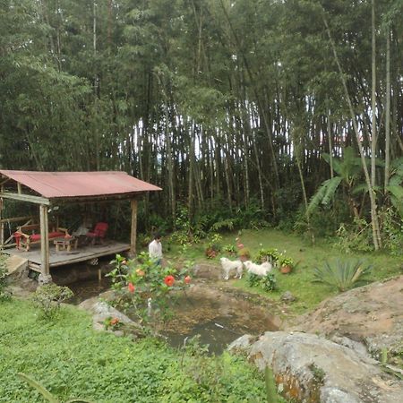 Finca Exclusividad Familiar O Grupo De Amigos Capacidad Hasta 12 Personas Calles En Placa Huella, Caminata Ecologica Alban  Exteriér fotografie