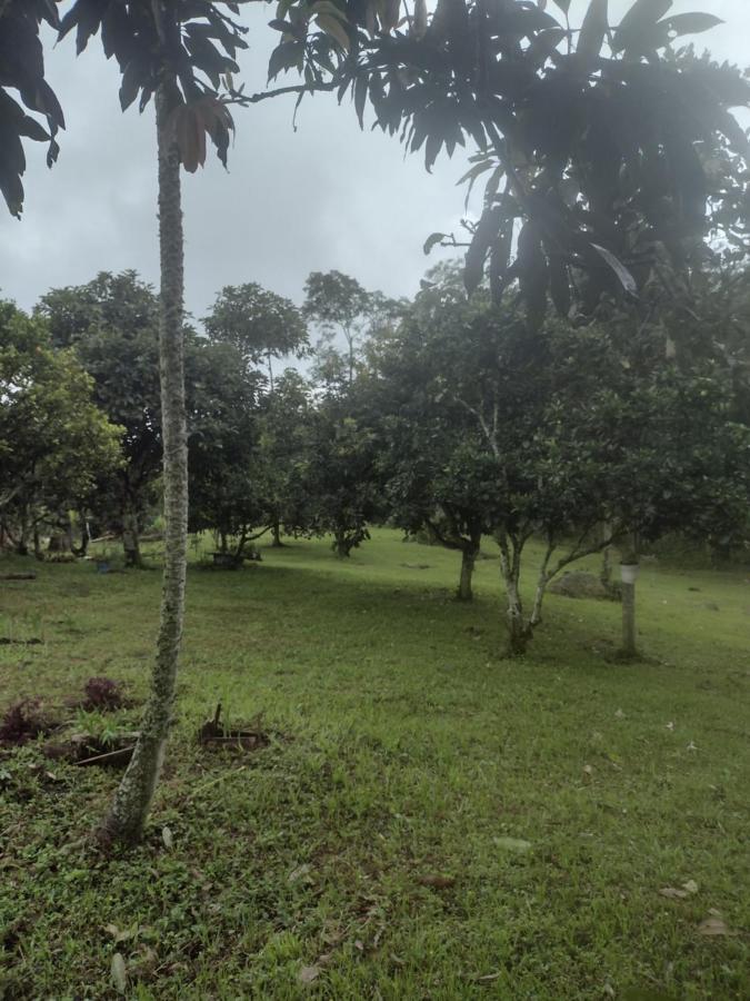 Finca Exclusividad Familiar O Grupo De Amigos Capacidad Hasta 12 Personas Calles En Placa Huella, Caminata Ecologica Alban  Exteriér fotografie