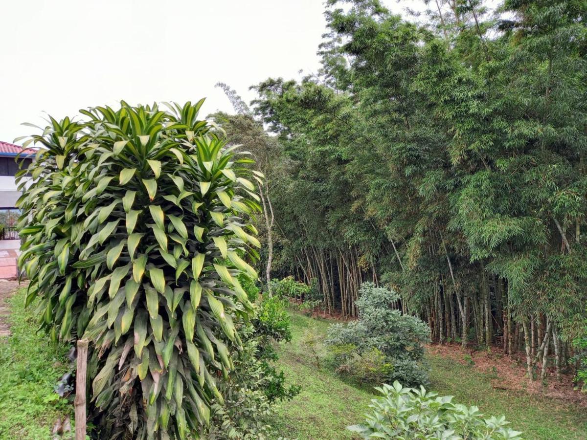 Finca Exclusividad Familiar O Grupo De Amigos Capacidad Hasta 12 Personas Calles En Placa Huella, Caminata Ecologica Alban  Exteriér fotografie