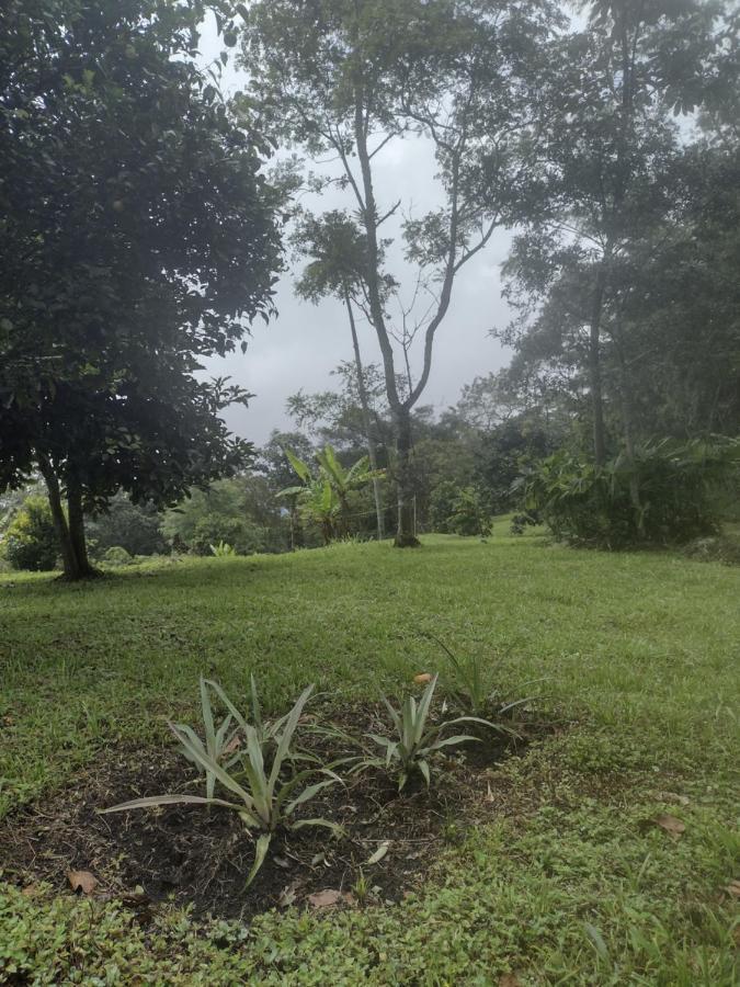 Finca Exclusividad Familiar O Grupo De Amigos Capacidad Hasta 12 Personas Calles En Placa Huella, Caminata Ecologica Alban  Exteriér fotografie
