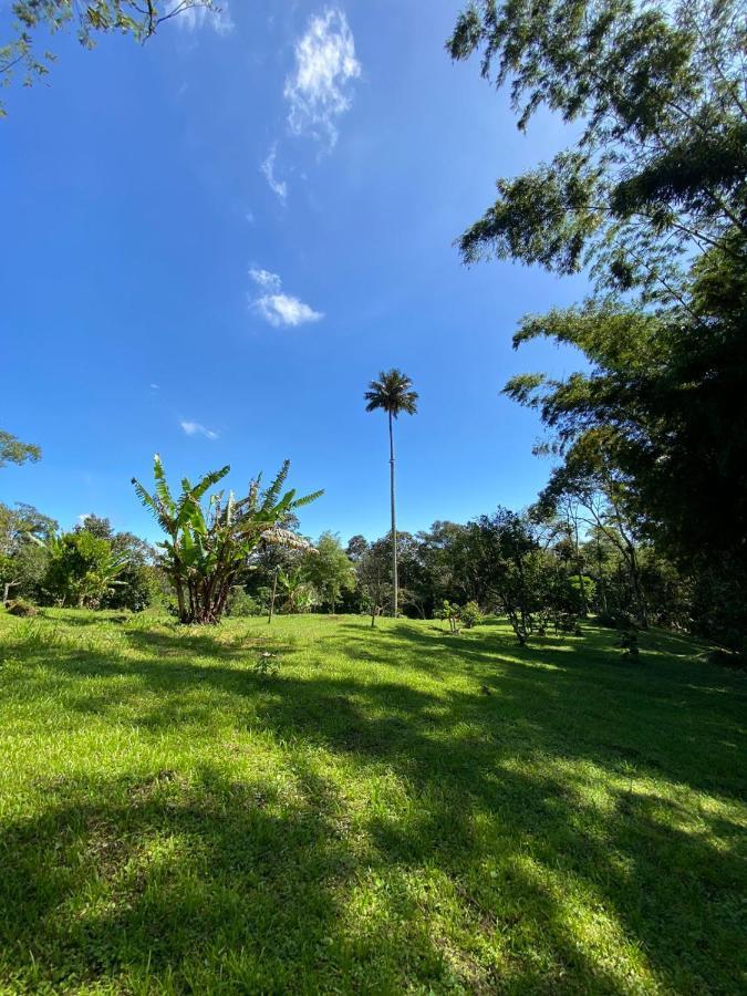 Finca Exclusividad Familiar O Grupo De Amigos Capacidad Hasta 12 Personas Calles En Placa Huella, Caminata Ecologica Alban  Exteriér fotografie