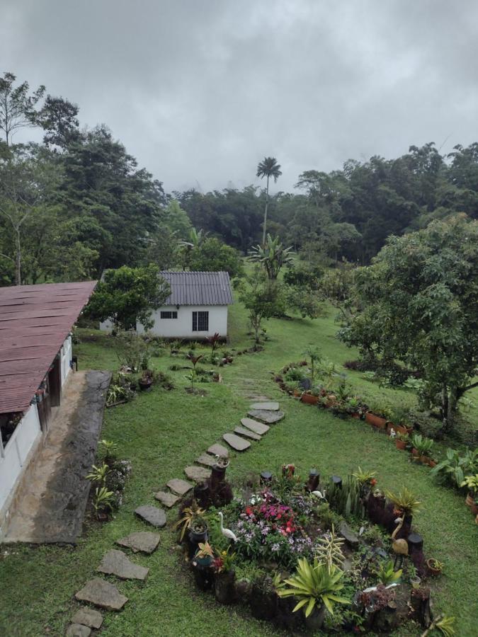 Finca Exclusividad Familiar O Grupo De Amigos Capacidad Hasta 12 Personas Calles En Placa Huella, Caminata Ecologica Alban  Exteriér fotografie