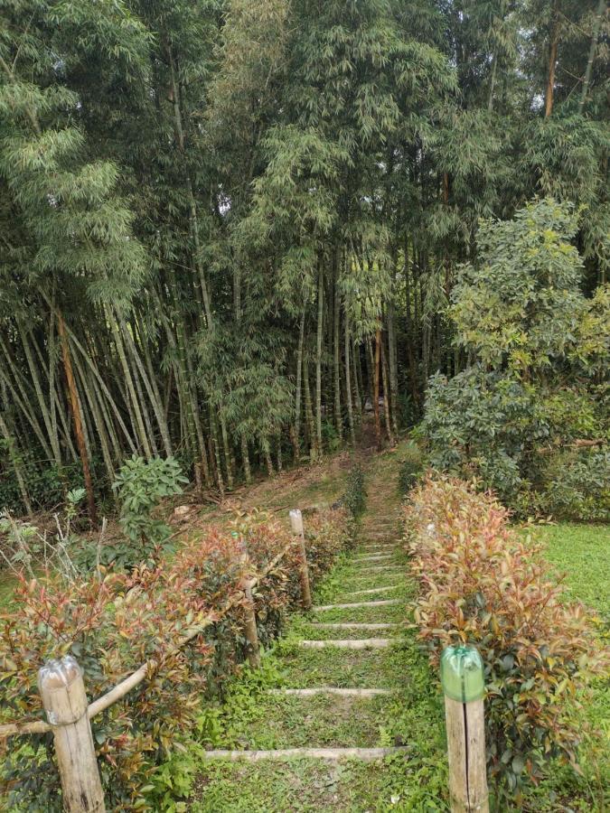 Finca Exclusividad Familiar O Grupo De Amigos Capacidad Hasta 12 Personas Calles En Placa Huella, Caminata Ecologica Alban  Exteriér fotografie