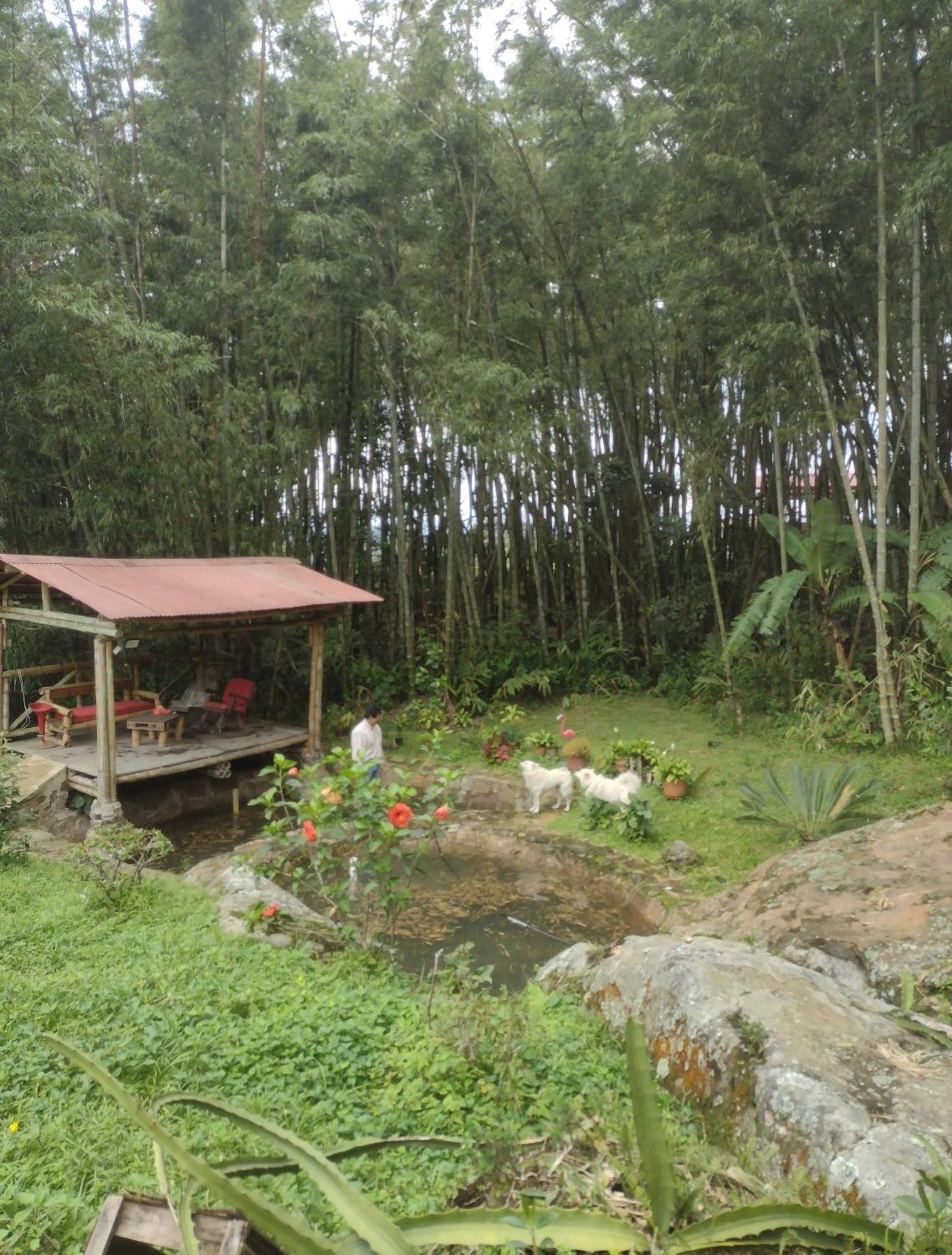 Finca Exclusividad Familiar O Grupo De Amigos Capacidad Hasta 12 Personas Calles En Placa Huella, Caminata Ecologica Alban  Exteriér fotografie